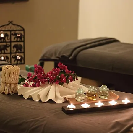 Sina (adults Only) توربا