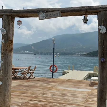 Sina (adults Only) توربا