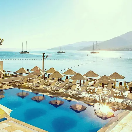 Sina (adults Only) 4* توربا