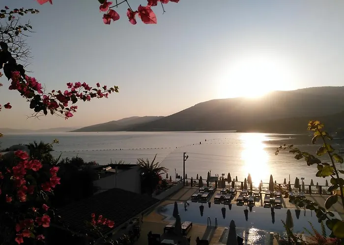 Sina (adults Only) Hotel Torba