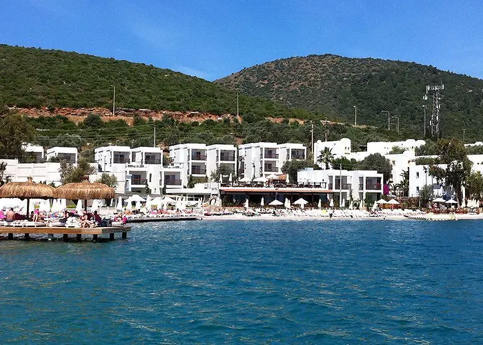 Sina (adults Only) Torba