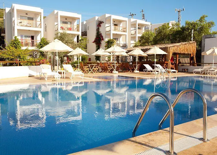 Sina (adults Only) 4*