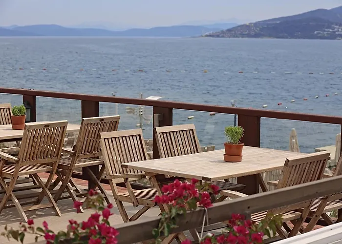 Sina (adults Only) Τόρμπα