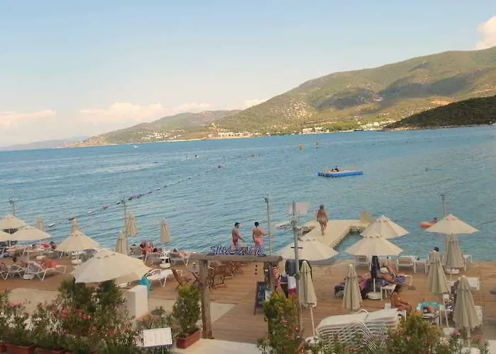 Sina (adults Only) 4* Τόρμπα