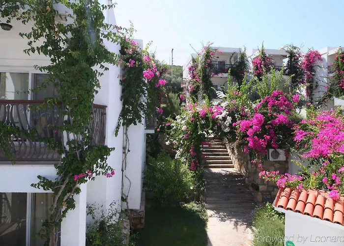 Ξενοδοχείο Sina (adults Only)