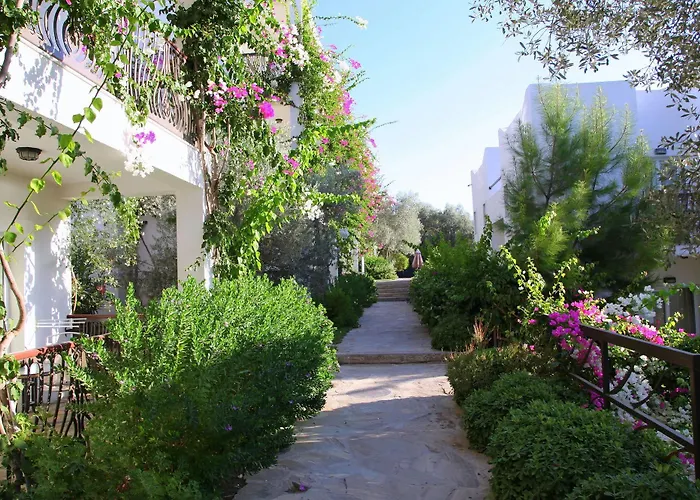 Sina (adults Only) 4* Τόρμπα