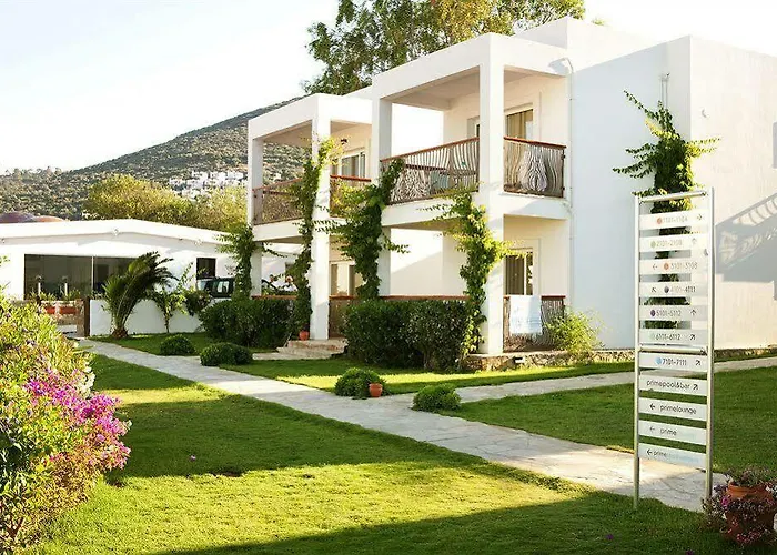 Sina (adults Only) Torba