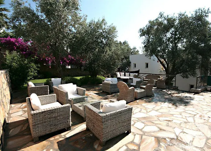 Sina (adults Only) 4* Τόρμπα