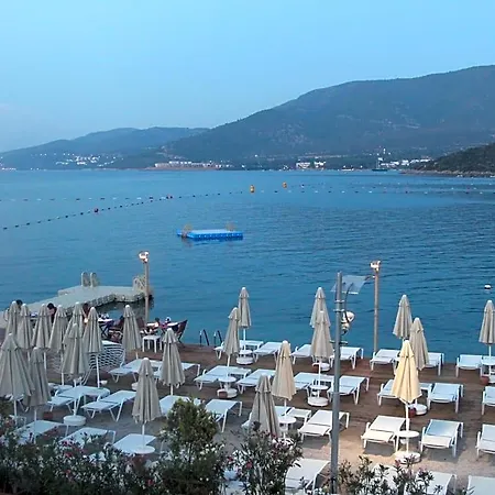 Sina (adults Only) 4*