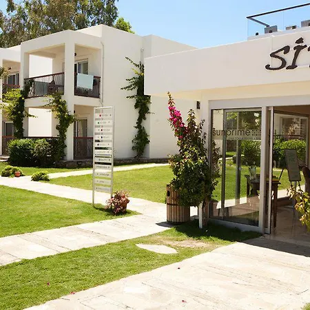 Sina (adults Only) 4*