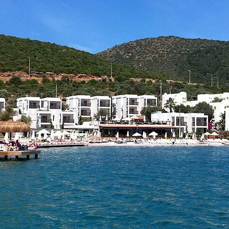 Sina (adults Only) Torba