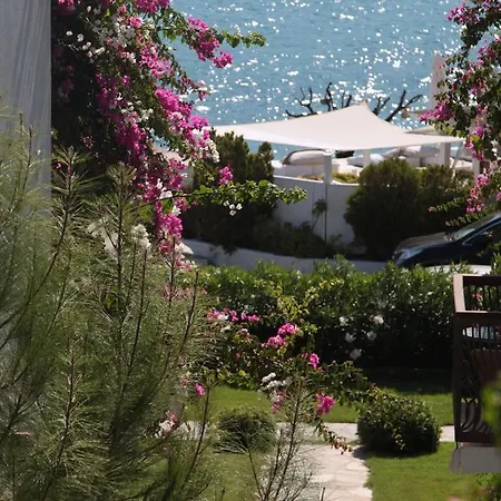 Hotel Sina (adults Only) Torba