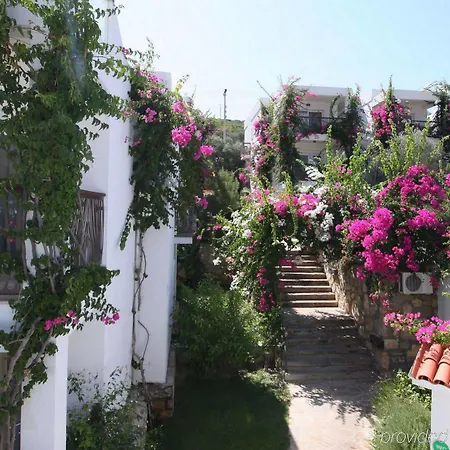 Otel Sina (adults Only)
