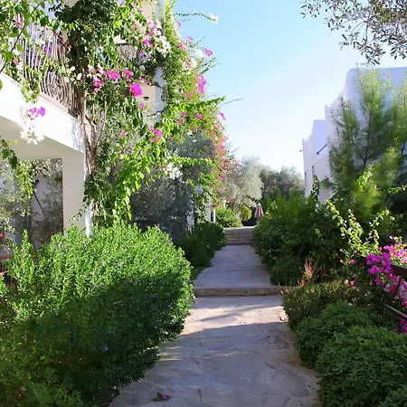 Sina (adults Only) 4* Torba