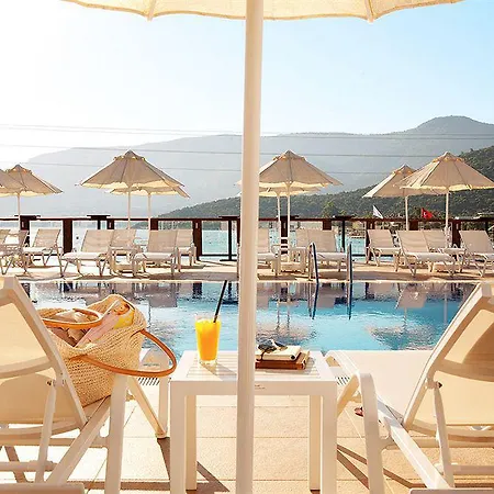 Sina (adults Only) فندق