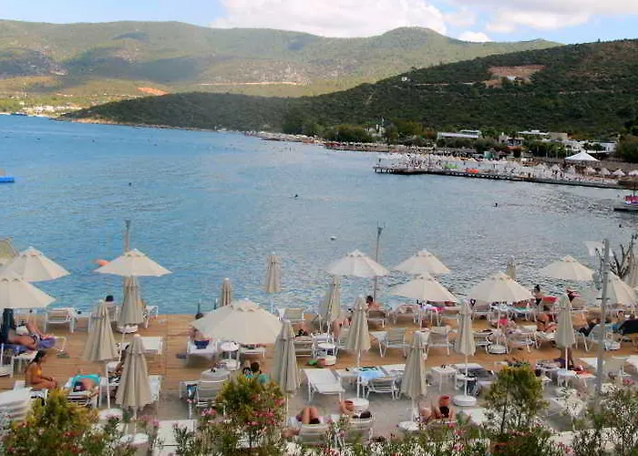 Sina (adults Only) 4*