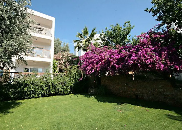 Sina (adults Only) 4*