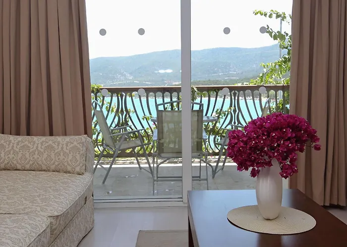 Sina (adults Only) 4*