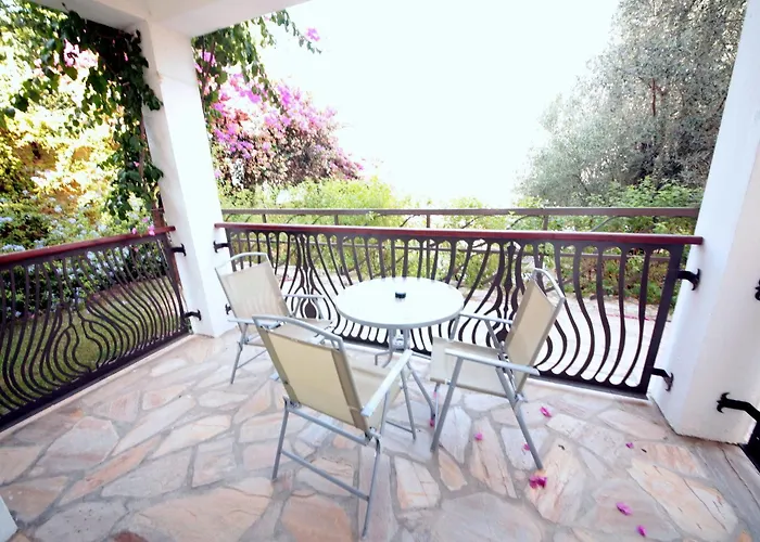 Sina (adults Only) 4*